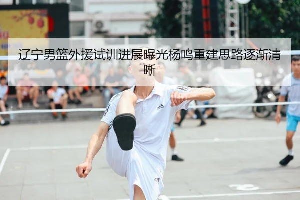 辽宁男篮外援试训进展曝光杨鸣重建思路逐渐清晰